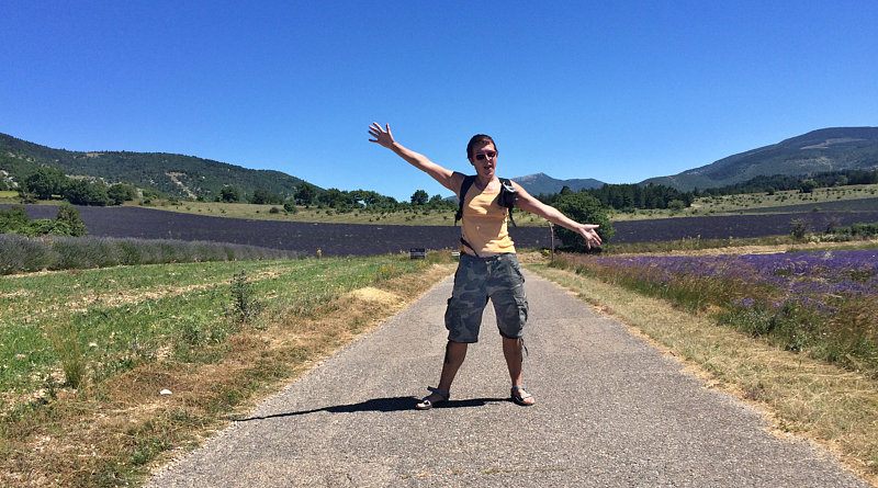 Amelie sulla strada tra campi di lavanda in fiore