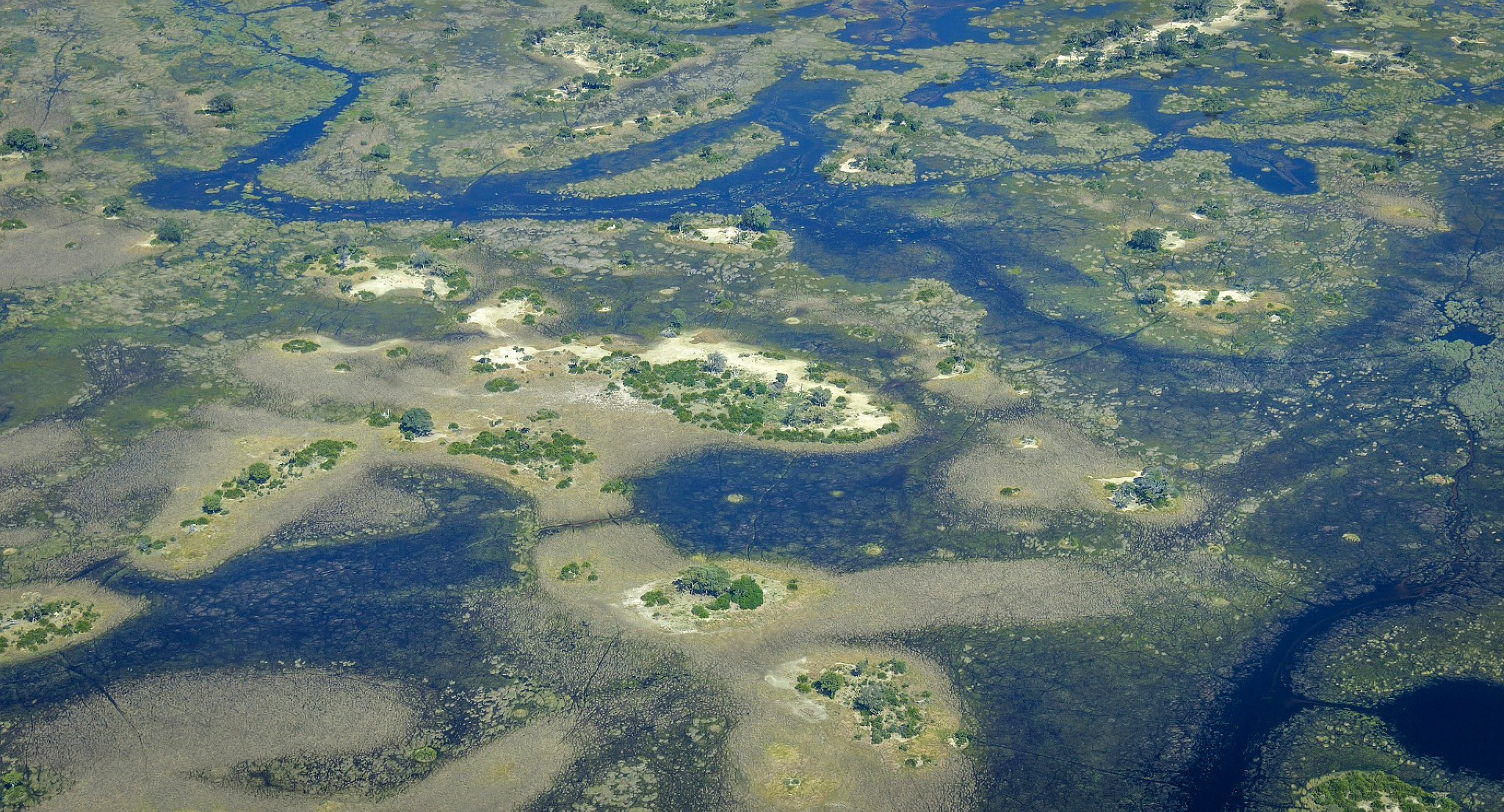 Fotografia aerea del Delta dell'Okavango