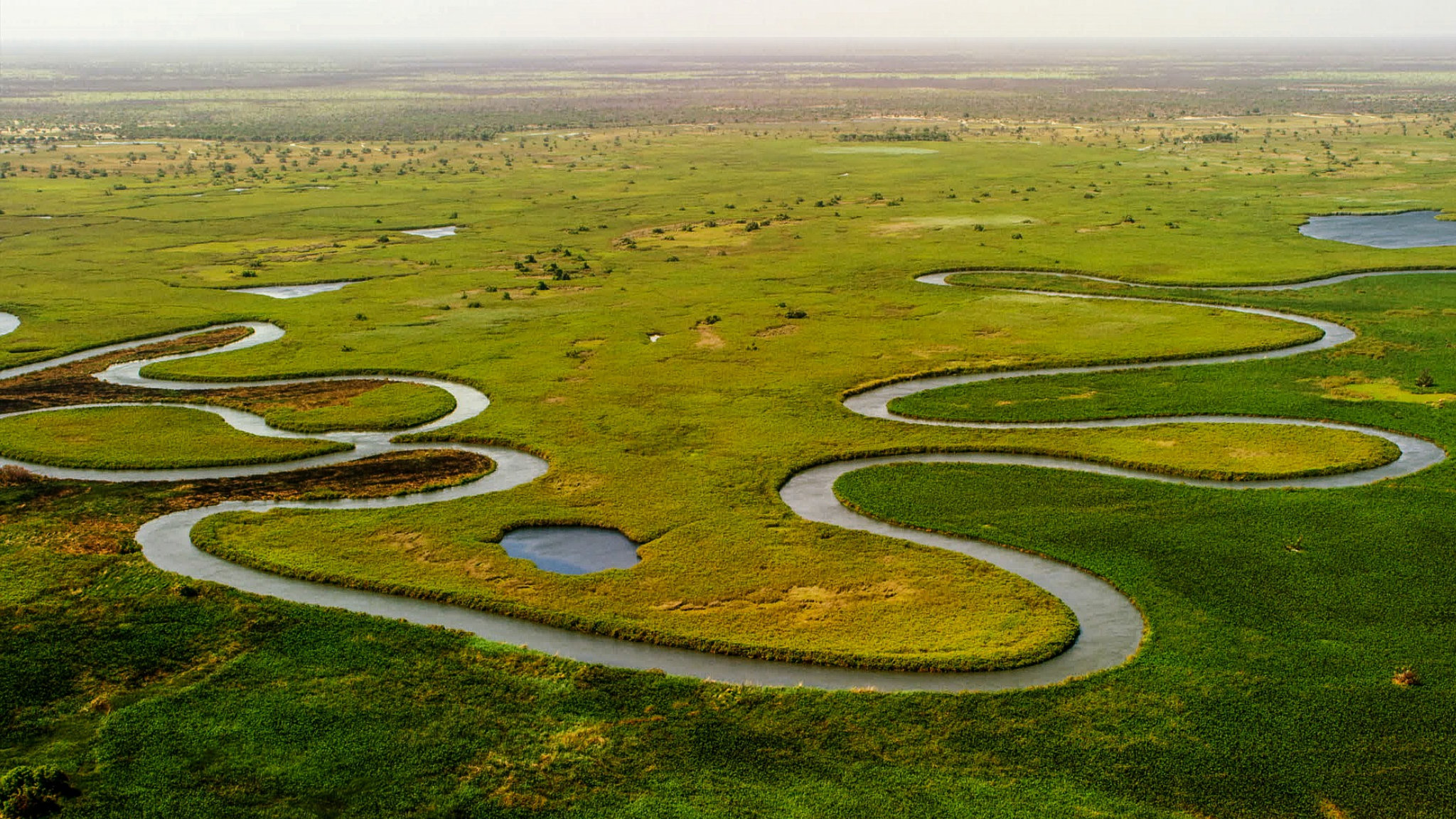 Fotografia aerea del Delta dell'Okavango