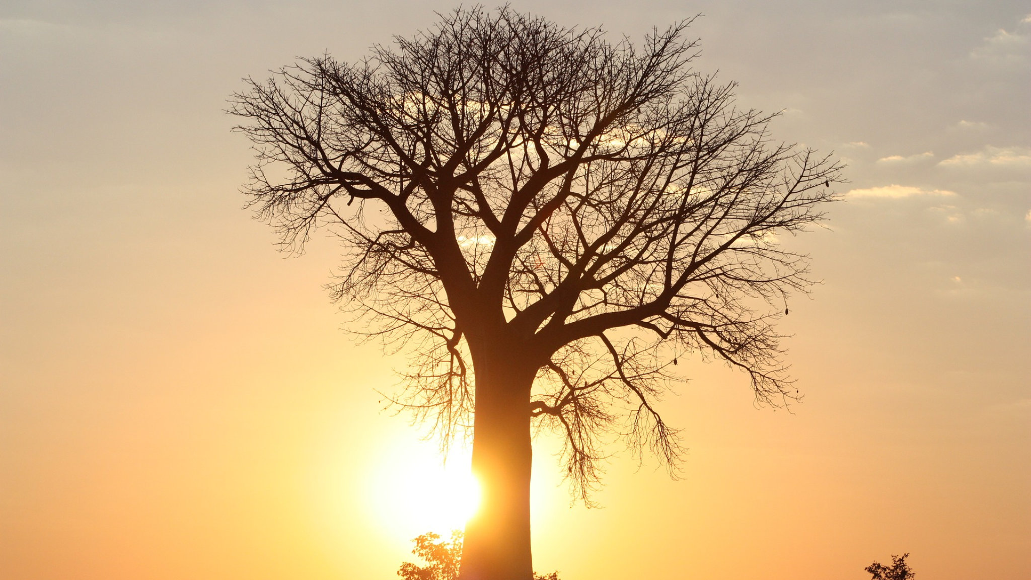 tramonto etosha park namibia featured