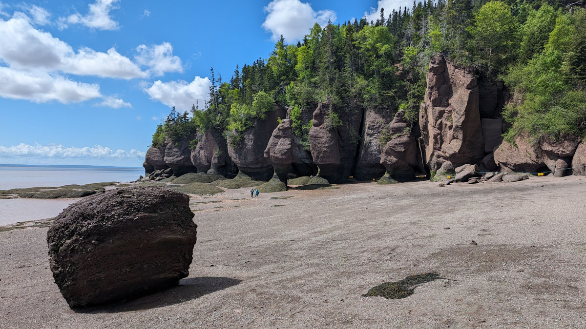Spiaggia con la bassa marea nella baia di Fundy